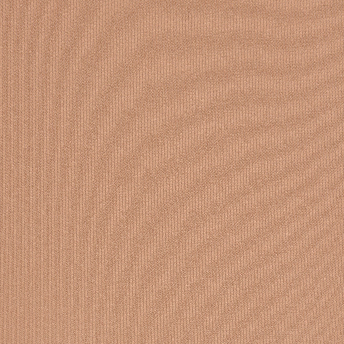 FITS EVERYBODY HIGH-WAISTED THONG | SIENNA