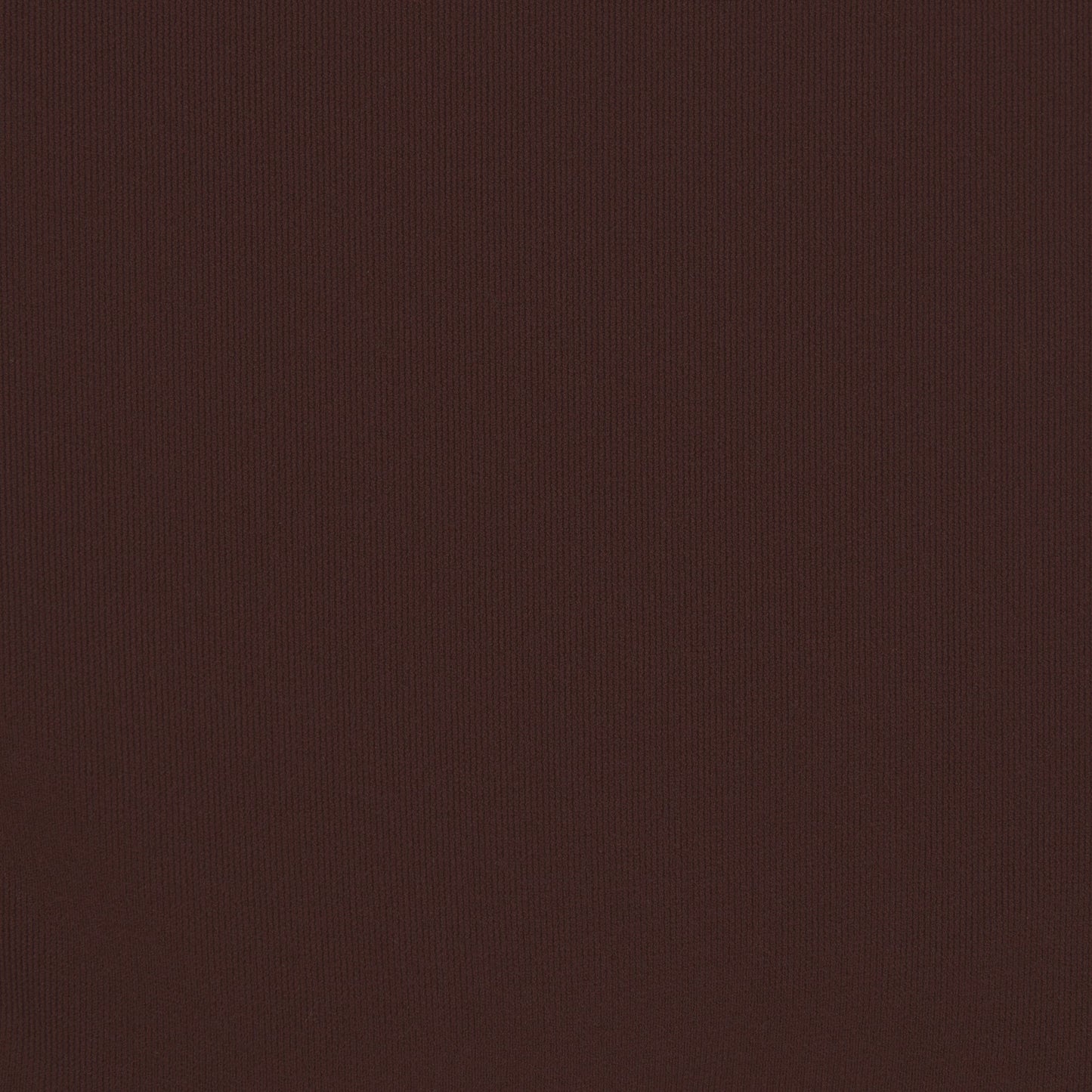 FITS EVERYBODY BRIEF | COCOA