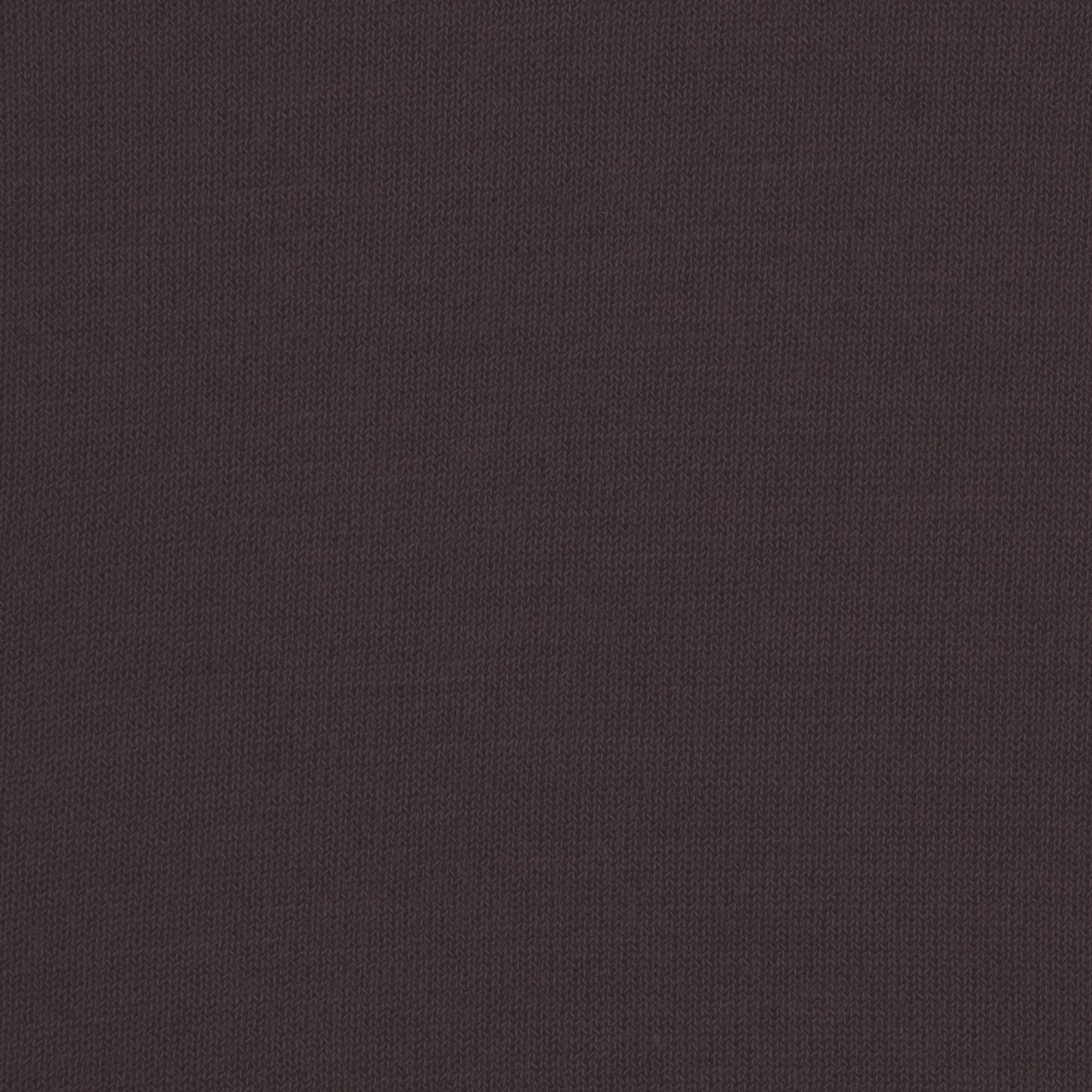 SHEER MODAL LONG SLEEVE BOATNECK TOP | PHOENIX