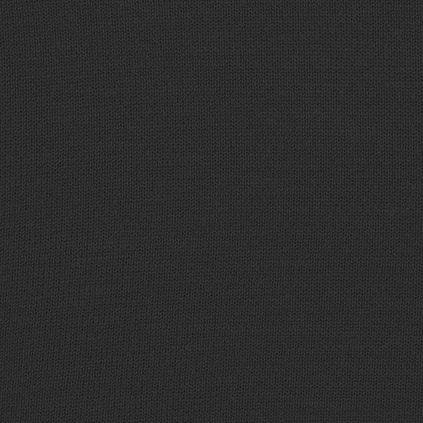 SHEER MODAL LONG SLEEVE BOATNECK TOP | ONYX